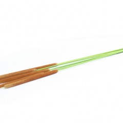 Typha Latifolia Flowers